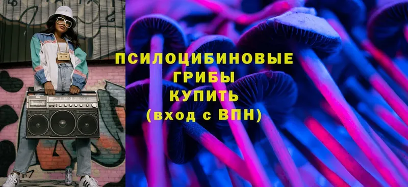 наркотики  Заволжье  Галлюциногенные грибы Magic Shrooms 